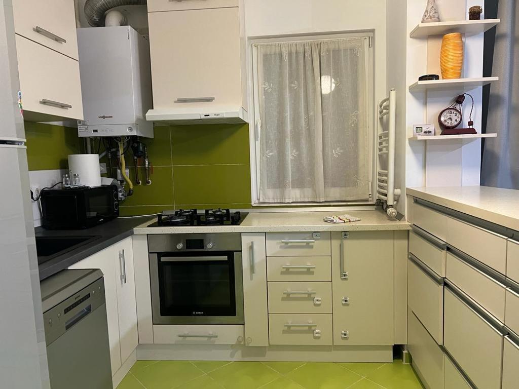 Tudor Central Apartment Mihai Viteazu Square クルージュ＝ナポカ エクステリア 写真