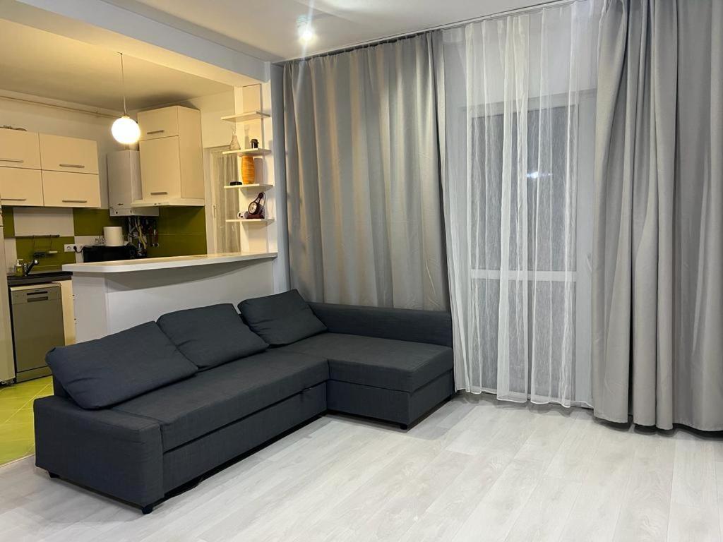 Tudor Central Apartment Mihai Viteazu Square クルージュ＝ナポカ エクステリア 写真