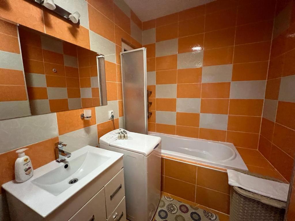 Tudor Central Apartment Mihai Viteazu Square クルージュ＝ナポカ エクステリア 写真